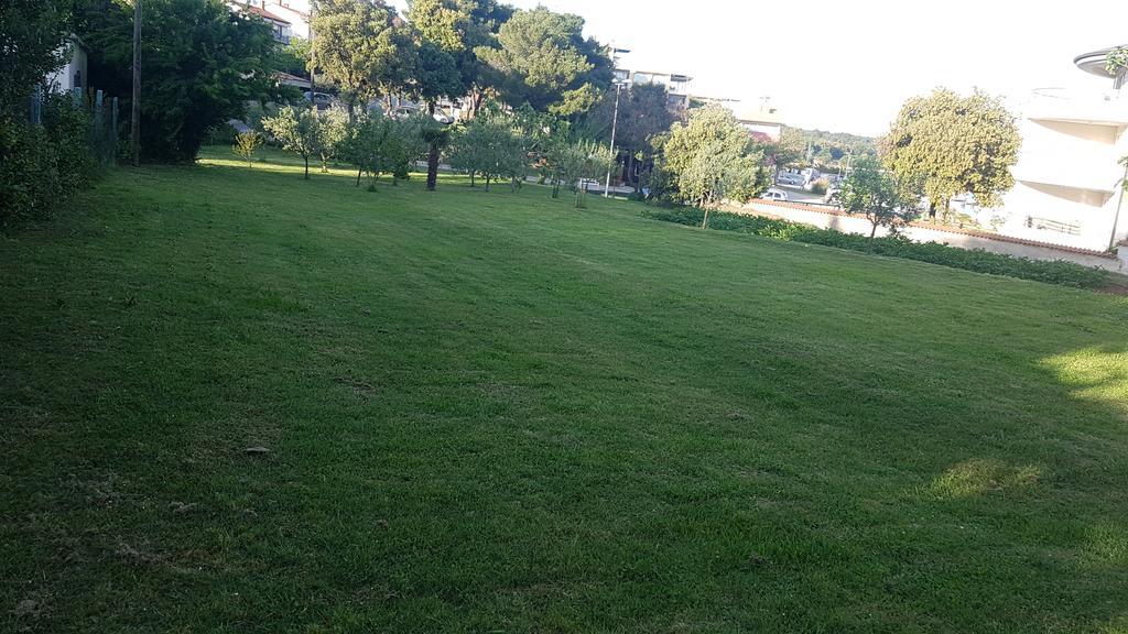 Apartment Ecio บานโจเล ภายนอก รูปภาพ