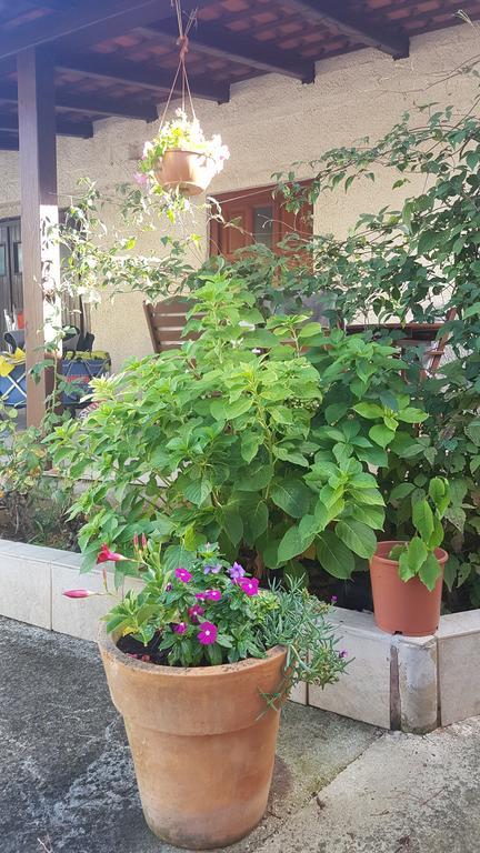 Apartment Ecio บานโจเล ภายนอก รูปภาพ